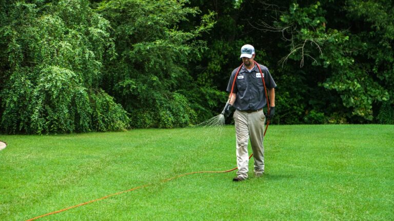 The Importance of Scheduled Lawn Service for Long-Term Yard Health